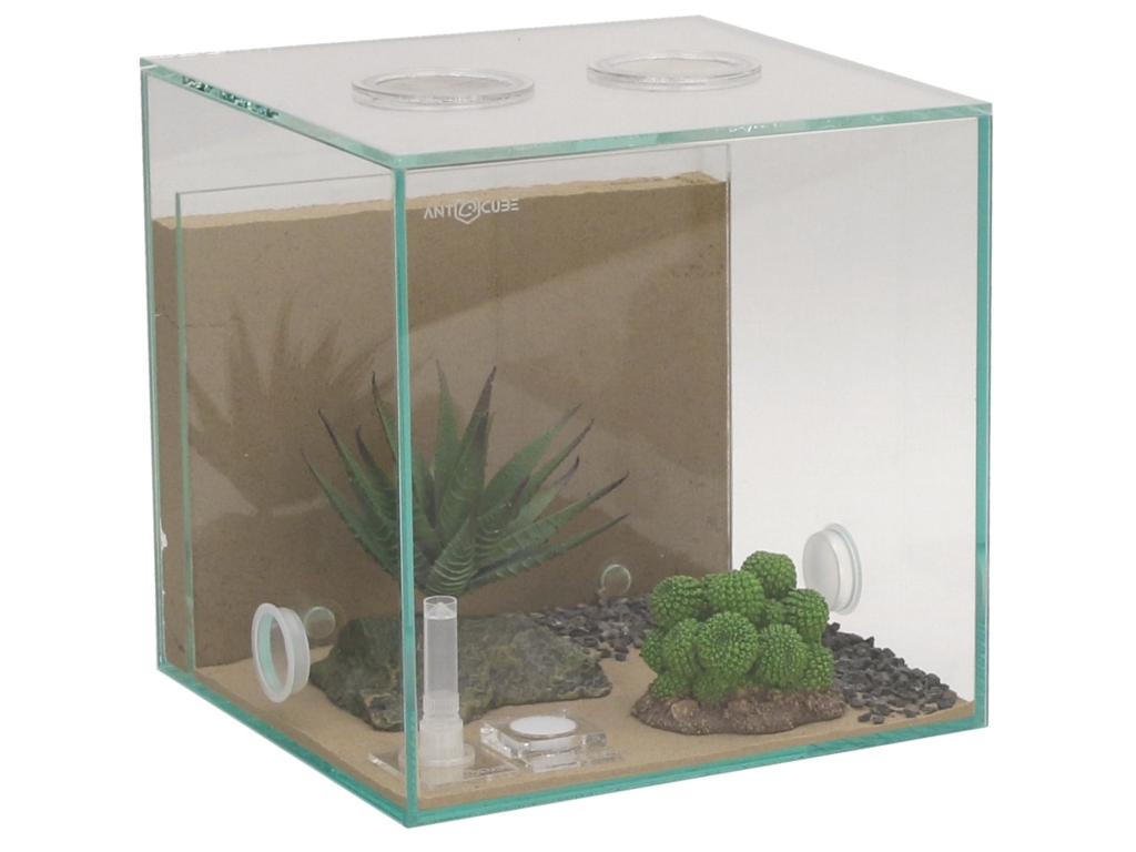 ANTCUBE Starter Set L - 20x20 - Combi